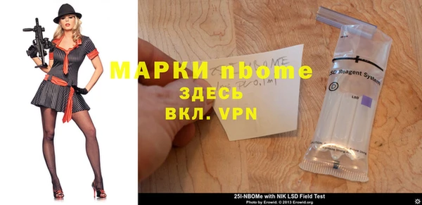 сатива Гусь-Хрустальный