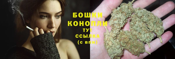 сатива Гусь-Хрустальный