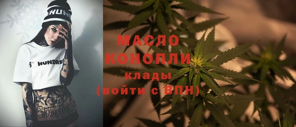 сатива Гусь-Хрустальный