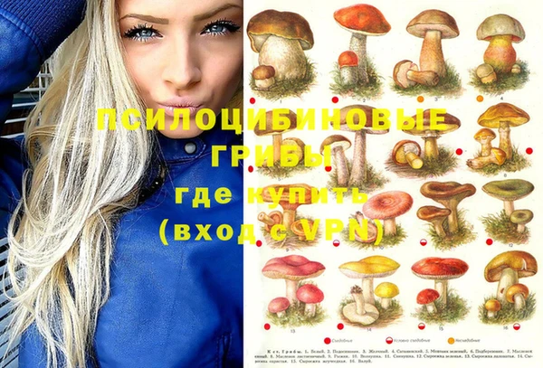 бошки Горняк