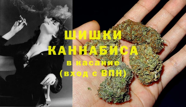 сатива Гусь-Хрустальный