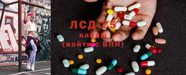 винт Гусев