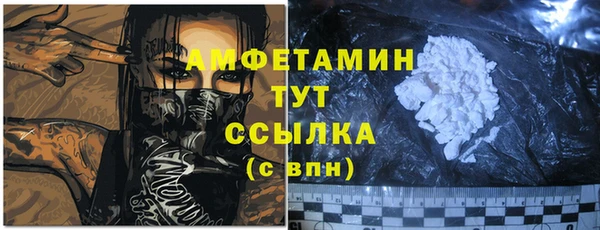 сатива Гусь-Хрустальный