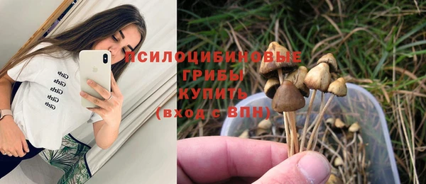 винт Гусев