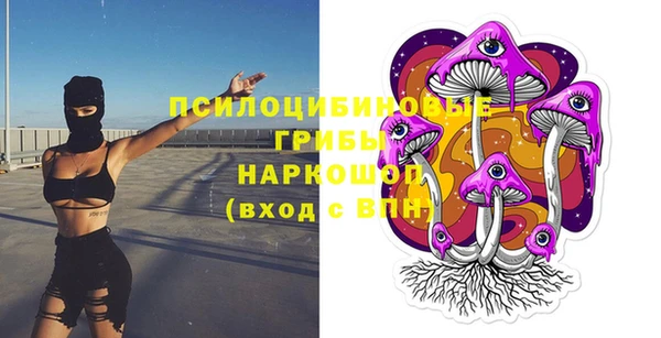 сатива Гусь-Хрустальный