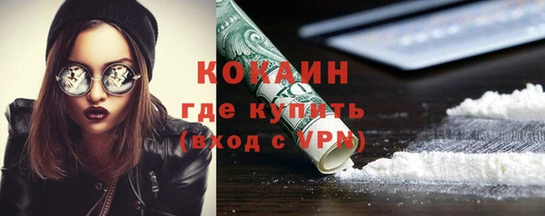 винт Гусев