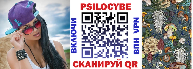 Псилоцибиновые грибы мицелий  Купить где  Звенигород 