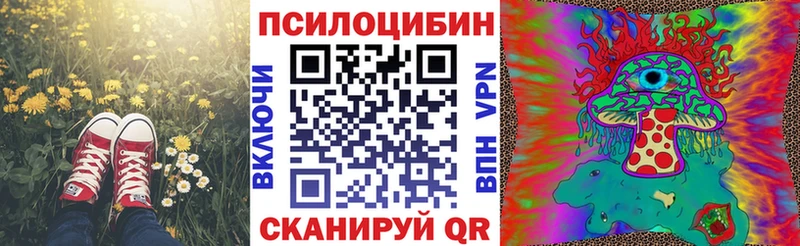 Псилоцибиновые грибы мицелий Звенигород